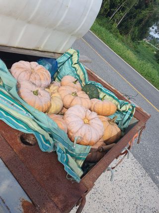 전주이상권님의 기타작물 · 영농일지 작성글 사진