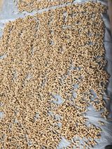 팜모닝 기타작물·영농일지 게시글 이미지