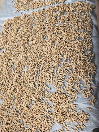 gksfid1112님의 기타작물 · 영농일지 작성글 사진