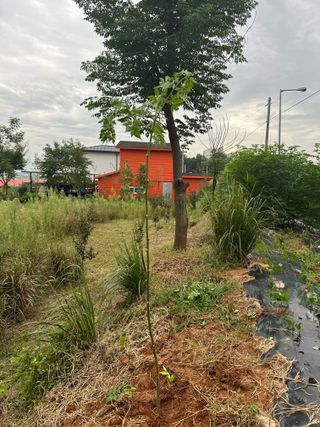 오성균님의 기타작물 · 영농일지 작성글 사진