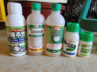 권병☆님의 배추 · 영농일지 작성글 사진