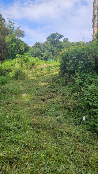 원감사님의 기타작물 · 영농일지 작성글 사진