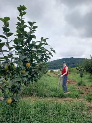 제키님의 기타작물 · 영농일지 작성글 사진