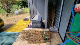 아침농원님의 참깨 · 영농일지 작성글 사진