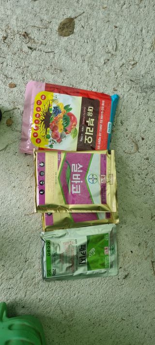 김은희님의 사과 · 영농일지 작성글 사진