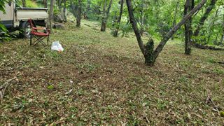 권혜전님의 기타작물 · 영농일지 작성글 사진