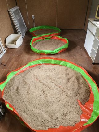 전선경님의 참깨 · 영농일지 작성글 사진