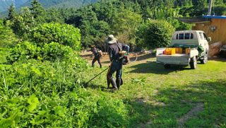 권혜전님의 기타작물 · 영농일지 작성글 사진