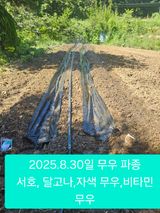 팜모닝 기타작물·영농일지 게시글 이미지