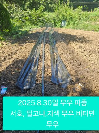 멧돼지님의 기타작물 · 영농일지 작성글 사진