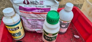 골드래곤님의 사과 · 영농일지 작성글 사진