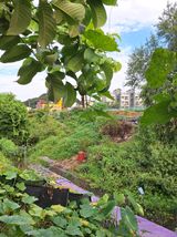 팜모닝 호박·영농일지 게시글 이미지