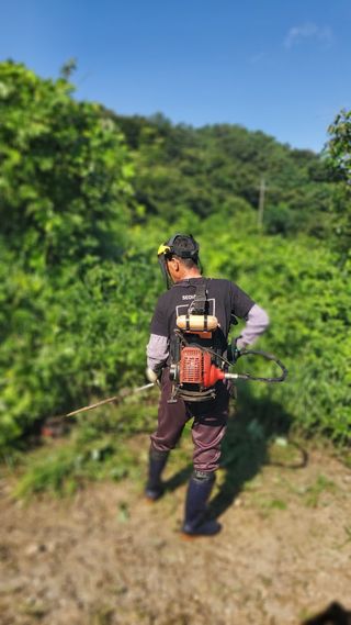 권혜전님의 기타작물 · 영농일지 작성글 사진