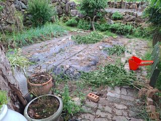 헤이쥬회원님의 마늘 · 영농일지 작성글 사진