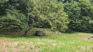 권혜전님의 기타작물 · 영농일지 작성글 사진