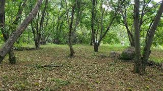 권혜전님의 기타작물 · 영농일지 작성글 사진