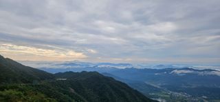 구춘봉님의 마늘 · 영농일지 작성글 사진