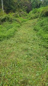 팜모닝 기타작물·영농일지 게시글 이미지