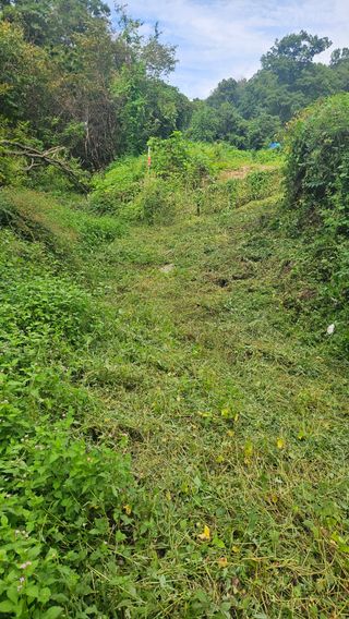 원감사님의 기타작물 · 영농일지 작성글 사진