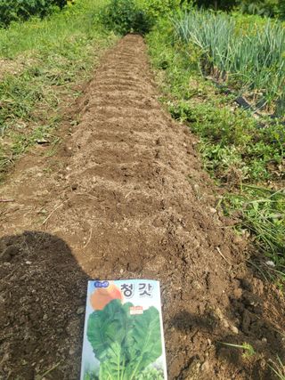 전선경님의 파 · 영농일지 작성글 사진