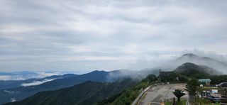 구춘봉님의 마늘 · 영농일지 작성글 사진