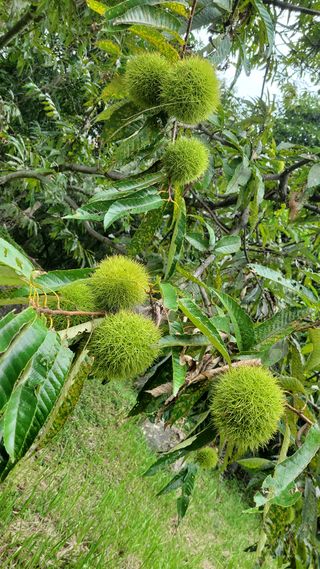 권혜전님의 기타작물 · 영농일지 작성글 사진