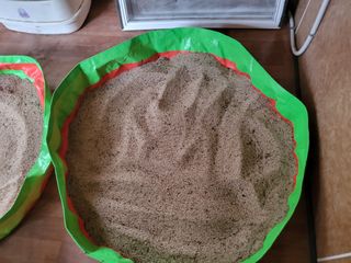 전선경님의 참깨 · 영농일지 작성글 사진