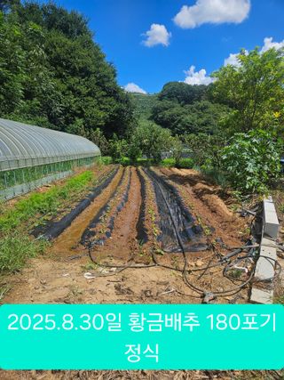 멧돼지님의 기타작물 · 영농일지 작성글 사진