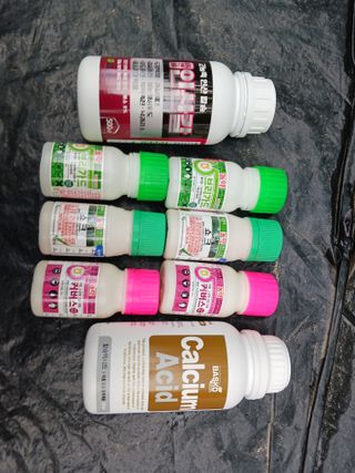 혁이네농원님의 포도 · 영농일지 작성글 사진