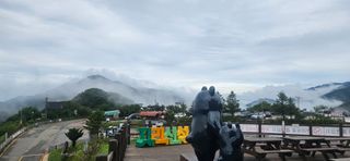 구춘봉님의 마늘 · 영농일지 작성글 사진