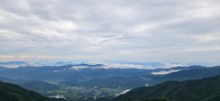 구춘봉님의 마늘 · 영농일지 작성글 사진