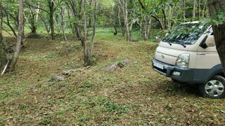 권혜전님의 기타작물 · 영농일지 작성글 사진