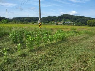 백상진님의 기타작물 · 영농일지 작성글 사진