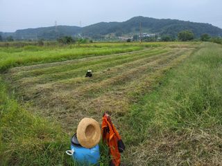 백상진님의 기타작물 · 영농일지 작성글 사진