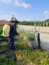 팜모닝 콩·영농일지 게시글 이미지