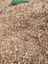 팜모닝 마늘·영농일지 게시글 이미지