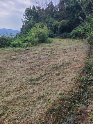 만청님의 기타작물 · 영농일지 작성글 사진