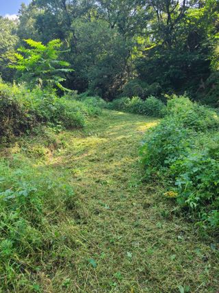 만청님의 기타작물 · 영농일지 작성글 사진
