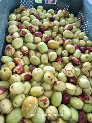 정택님의 기타작물 · 영농일지 작성글 사진