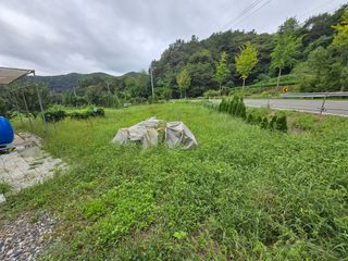 강호지인님의 기타작물 · 영농일지 작성글 사진