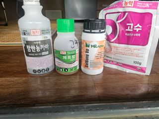 고영미님의 기타작물 · 영농일지 작성글 사진