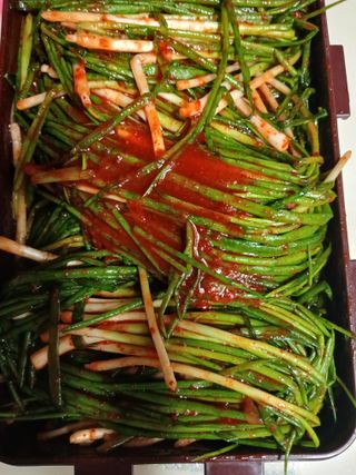 강지현님의 파 · 영농일지 작성글 사진