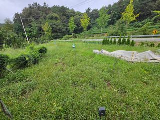 강호지인님의 기타작물 · 영농일지 작성글 사진