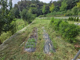 강호지인님의 기타작물 · 영농일지 작성글 사진