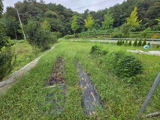 강호지인님의 기타작물 · 영농일지 작성글 사진