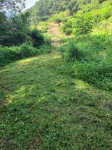 팜모닝 기타작물·영농일지 게시글 이미지