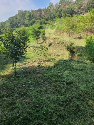 만청님의 기타작물 · 영농일지 작성글 사진