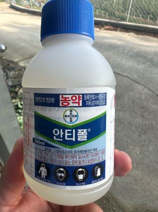 임영택님의 사과 · 영농일지 작성글 사진