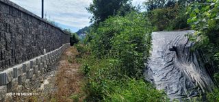 박종화님의 기타작물 · 영농일지 작성글 사진