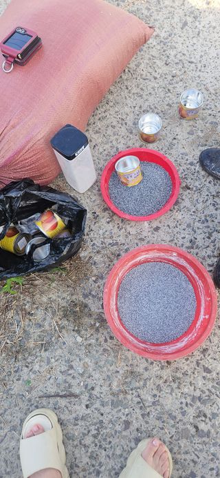 구춘봉님의 양파 · 영농일지 작성글 사진